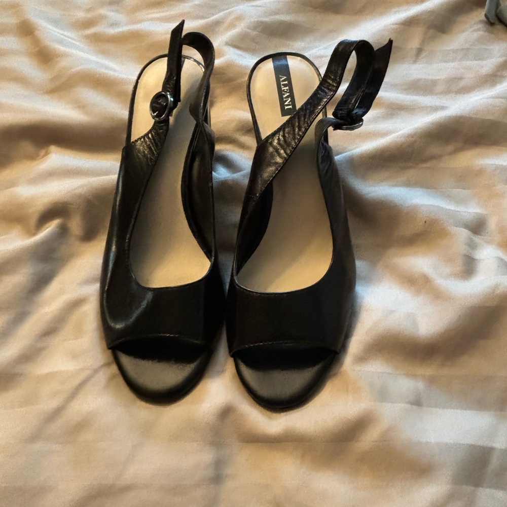 Alfani shoes